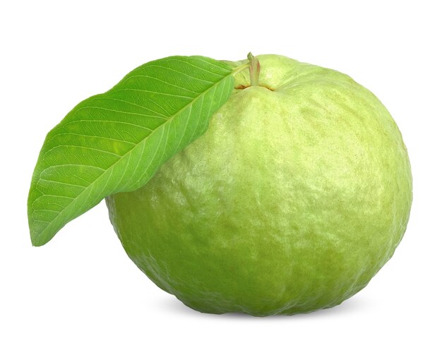 Frutto e foglia verdi della guava isolati su bianco. tracciato di ritaglio guava