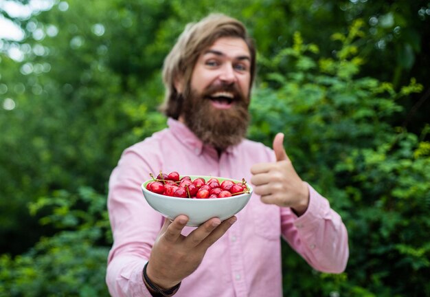 Green healthy food fresh red sour cherries harvest in plate seasonal cherry harvest in industrial orchard full pot of cherries man holding ripe sweet cherries eating ripe berries in early summer