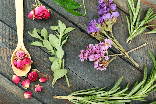 Green herbs and leaves on wooden table top view