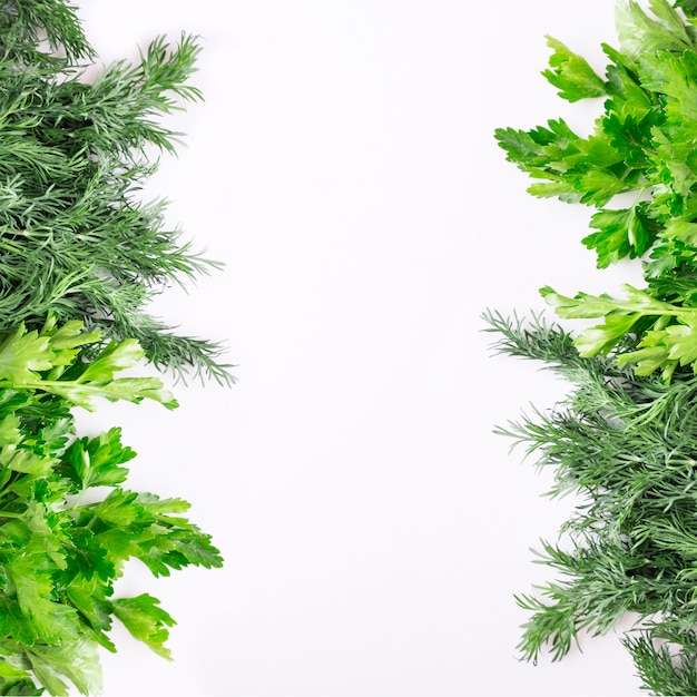 Green herbs on white background