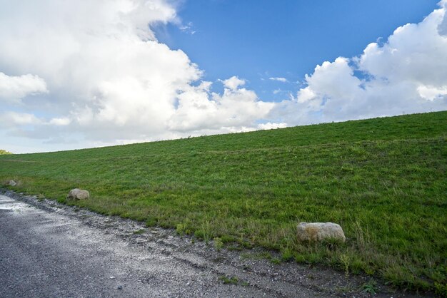 写真 道路沿いの緑の丘。