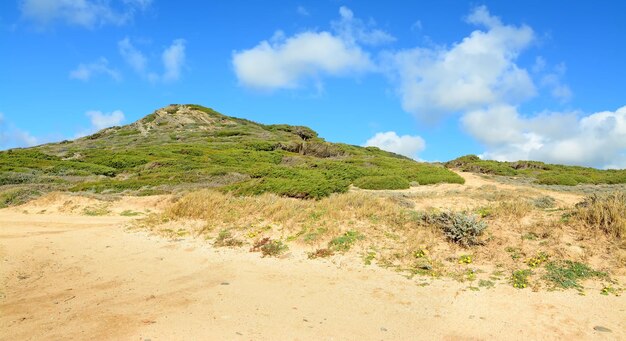 Green hill under a cloudy sky in Sardinia