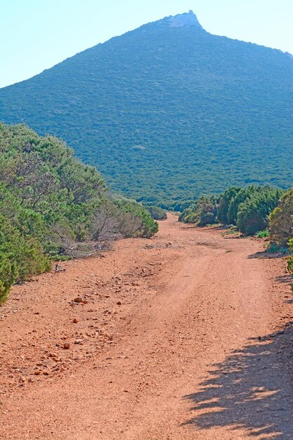 カッチャ岬サルデーニャの未舗装の道路の上の緑の丘