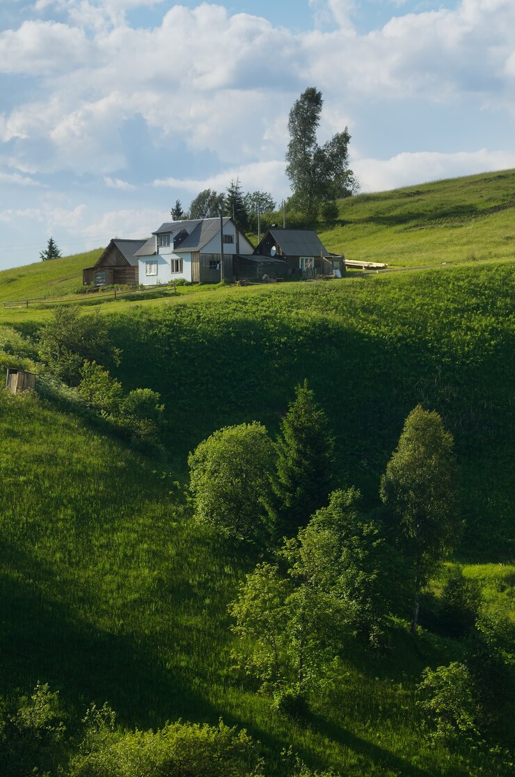 Green hill to the house