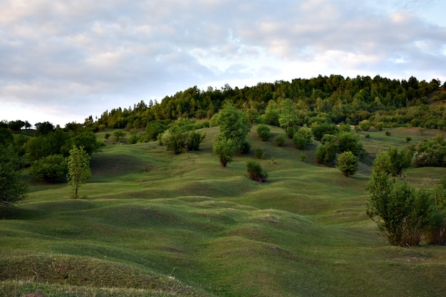 Green Hill and Trees