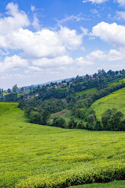 a green hill with a blue sky and clouds