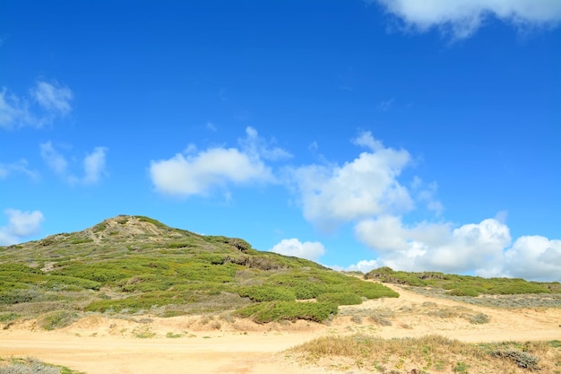 Зеленые холмы в Argentiera Sardinia