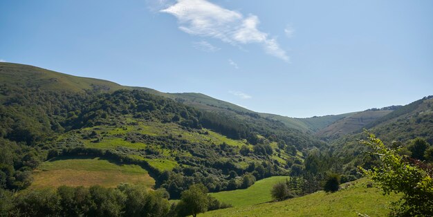 Green Hills in Cantabria