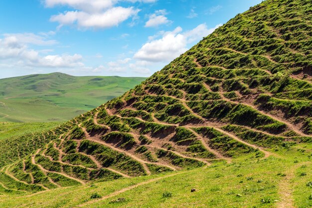 Green hills and cliffs in spring