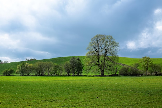 Green hills and cloudy sky