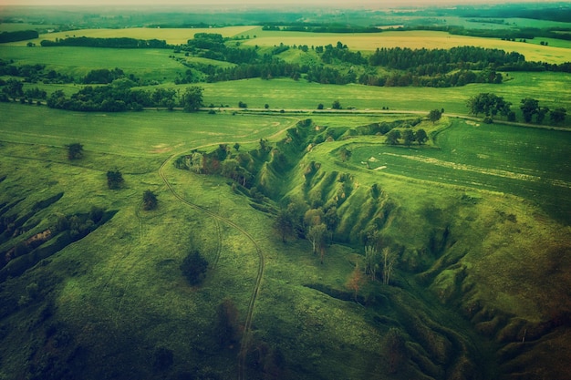 Green hills, fields and ravines seen from above, natural summer seasonal background from the drone