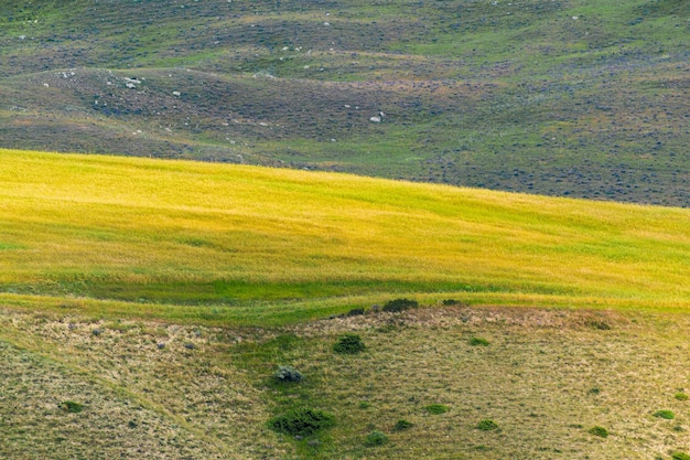 Green hills in the highlands