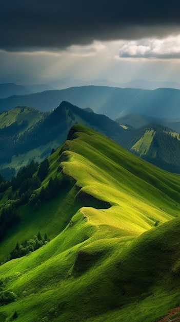 ルーマニアの緑の丘