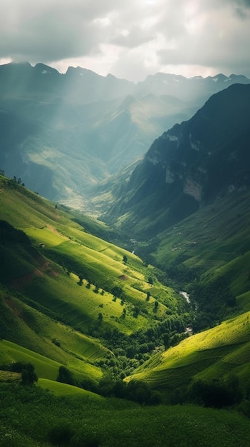 The green hills of vietnam