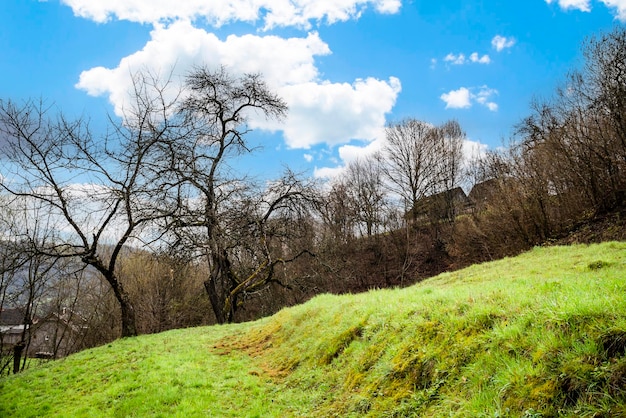 Green hills with bare trees in early spring