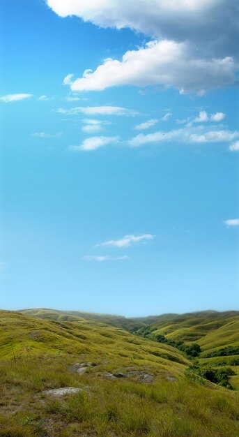 Зеленые холмы с панорамным видом