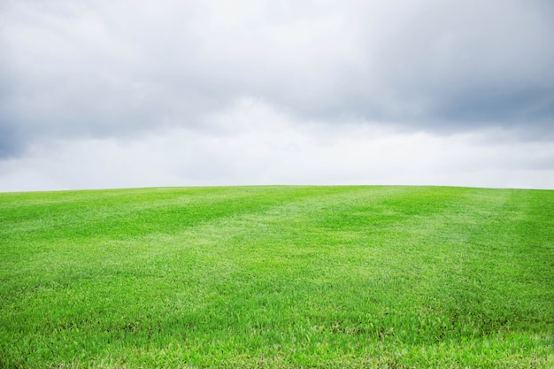 Green hills with skies.