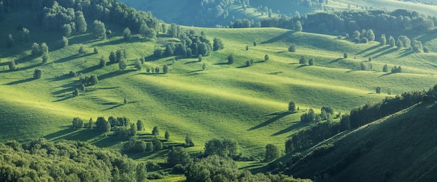 Green hillsides in the evening light spring greenery panoramic viewx9