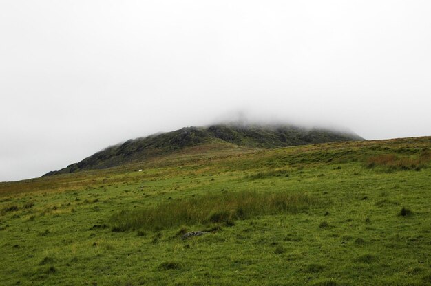 Photo green hilltop covered in cloud