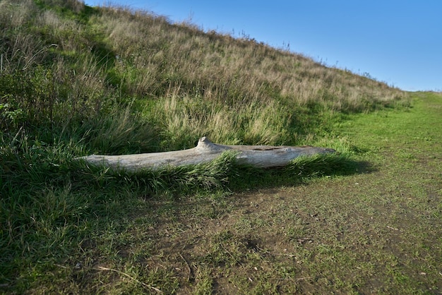 Green hilly path and blue sky in the background.