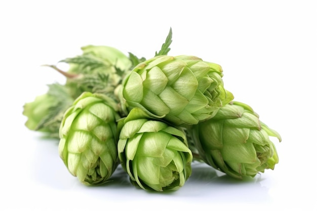 Green hop plant fresh Organic season Generate AI