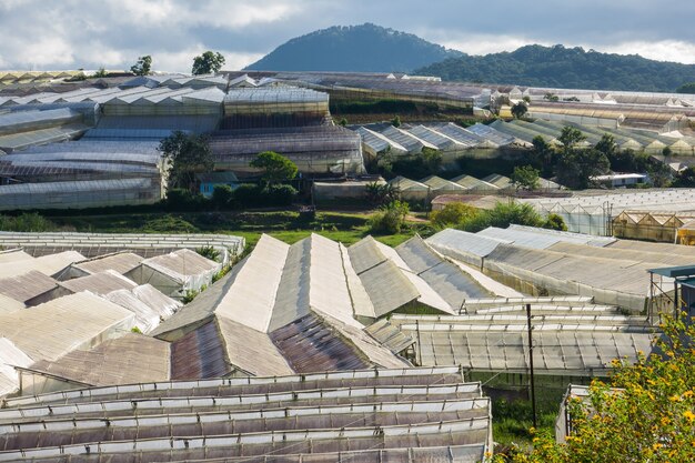 Green house Dalat Vietnam 