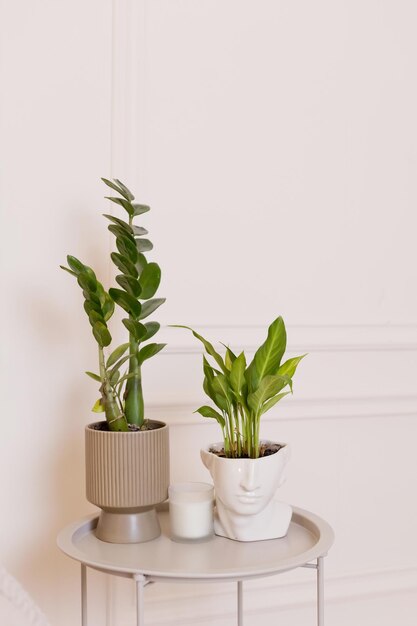 Green houseplants in beautiful pots on the bedroom table near white wall House decoration copy space place for text