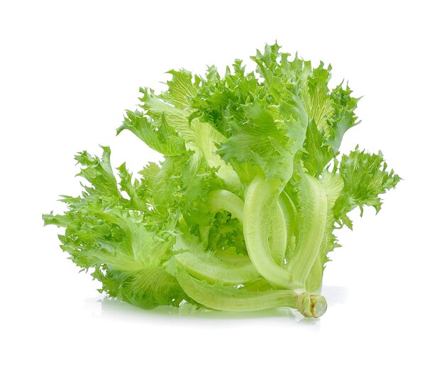 Green Iceberg lettuce on white background