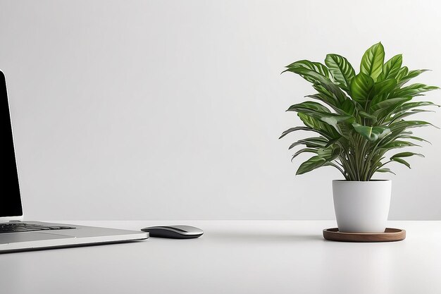 Green Inspiration Desk Plant Mockup
