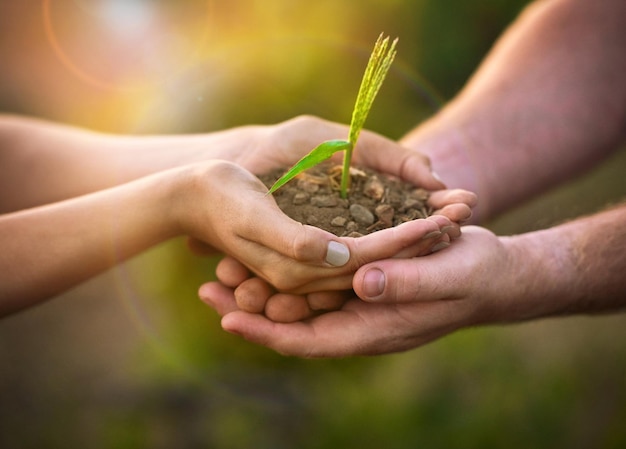 Green is the way to go Shot of two unidentifiable people holding a small seedling in their hands while standing outside