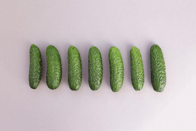 Green juicy fresh cucumbers on a bright even background