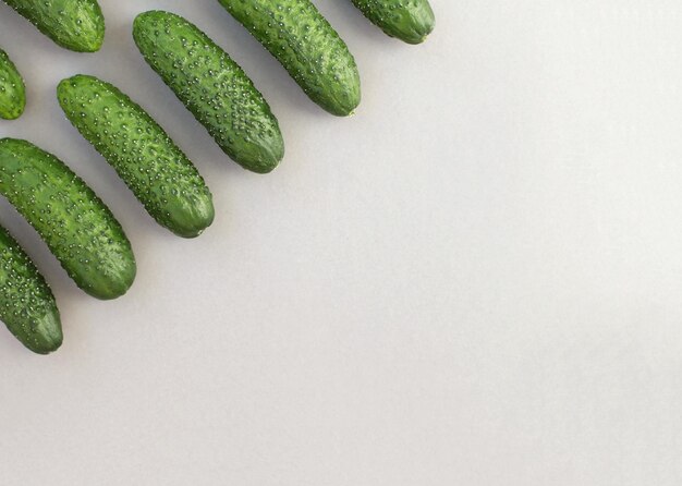 Green juicy fresh cucumbers on a bright even background