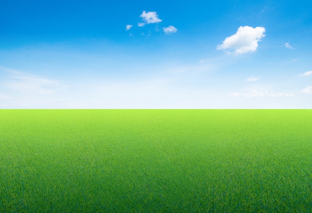 Green land and blue sky