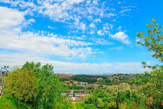 イタリアのシエナ郊外の緑の風景