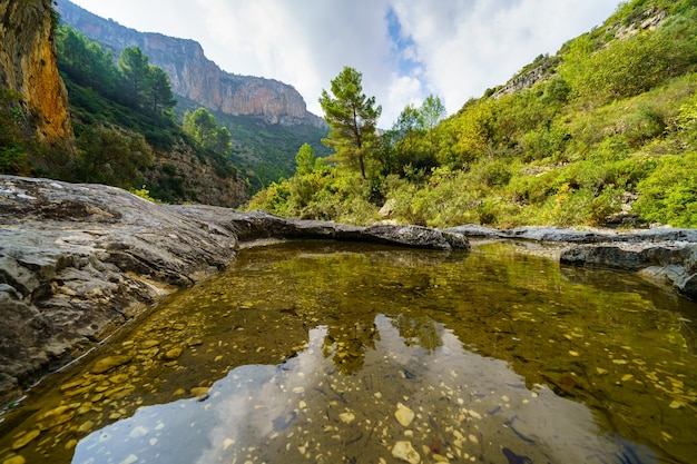 山と水の反射の間に湖がある緑の風景。