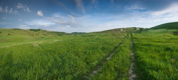 春の牧草地と道路、パノラマと緑の風景