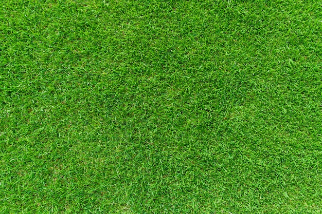 green landscaped lawn background