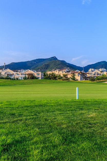 Green lawn in modern villa area