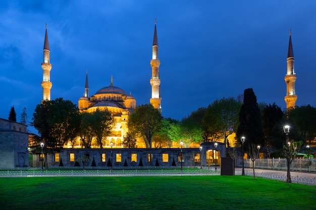 Green lawn and mosque Blue Mosque at night