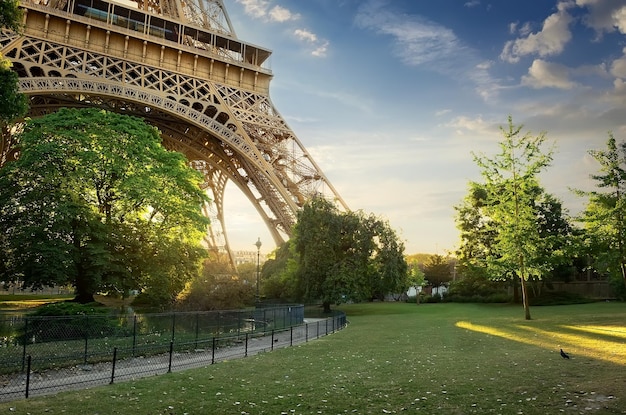 Green lawn near Eiffel Tower in Paris at sunrise, France