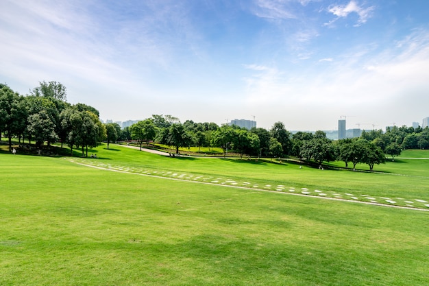 Green lawn in urban public park