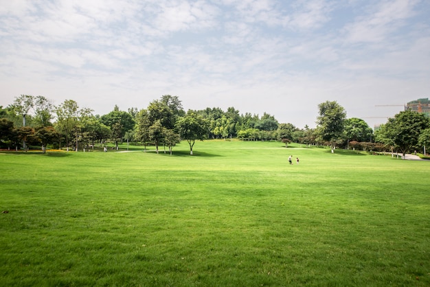 Photo green lawn in urban public park