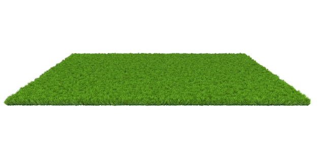 Green lawn on white background. 3D illustration