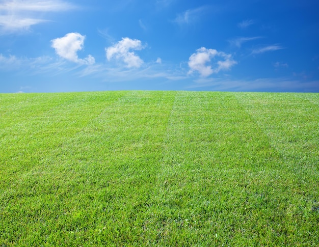 Green lawn with blue sky