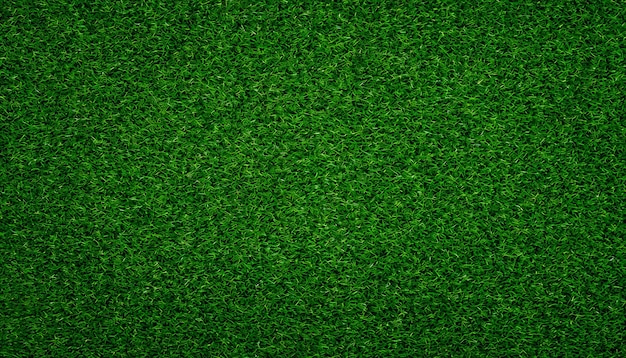 Green lawn with fresh grass outdoors Nature spring grass background texture