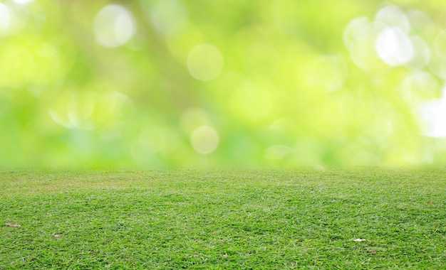 Photo a green lawn with a soccer ball in the middle