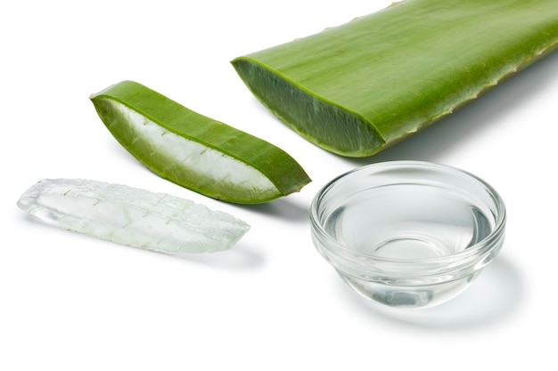 Green leaf of aloe vera and slice isolated on white background close up