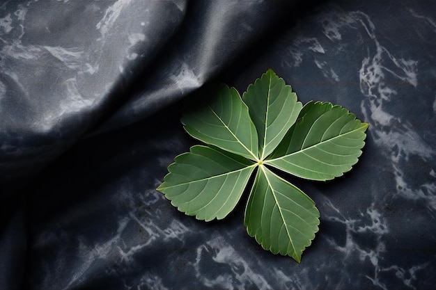 Green leaf on a black background Flat lay top view