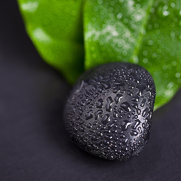 Green leaf and Black Stone with water drops