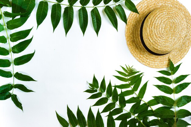 Green leaf branches and straw haton white background flat lay top view